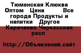 Тюменская Клюква Оптом › Цена ­ 200 - Все города Продукты и напитки » Другое   . Карачаево-Черкесская респ.